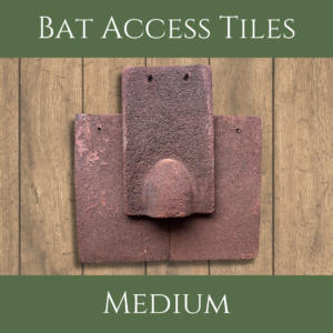 Medium Clay Handmade Bat Access Roof Tile Set