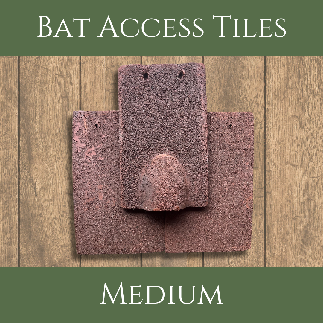 Medium Clay Handmade Bat Access Roof Tile Set