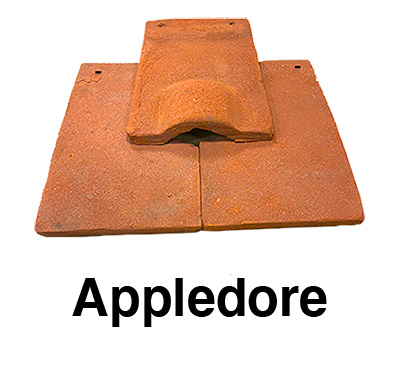 Bat Access Tiles Appledore